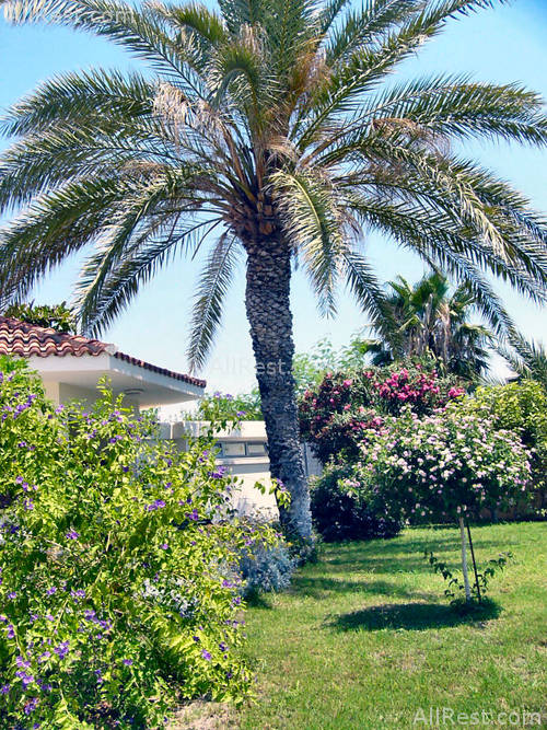 Kissos Hotel 15
